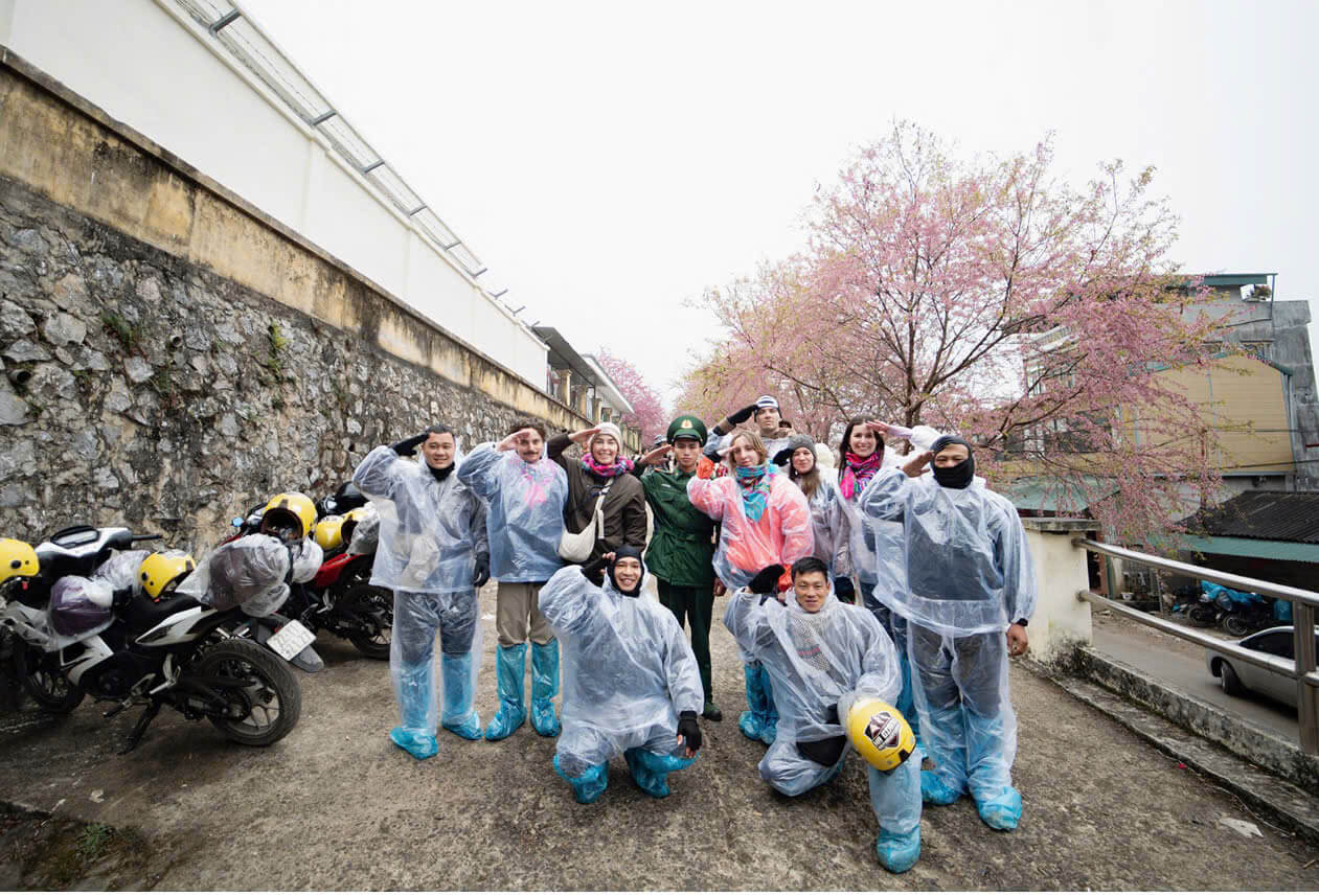 Ha Giang Cherry Blossoms 2026: When & Where to Find the Pink Bloom